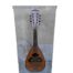 A 20th Century Philadelphia Mandolin Encased In A Custom-Made Perspex Box