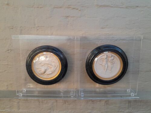 A Pair Of Antique 19th Century Decorative Plaques In A Perspex Boxes