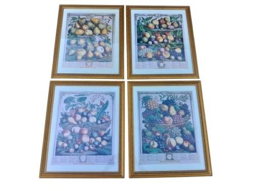 A Set Of Four Belgium Framed  Fruit Works