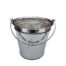 A 20TH Century Silver Plate Ice Bucket With Handles