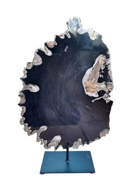 A Cross Section Of A Black Petrified Wood On Stand Nd