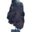 A Cross Section Of Black Petrified Wood On Stand Nd