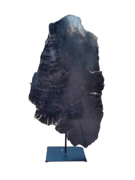 A Cross Section Of Black Petrified Wood On Stand Nd