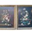 A 20th Century Pair Of Flowers (Oil On Board) In Giltwood Frames Signed