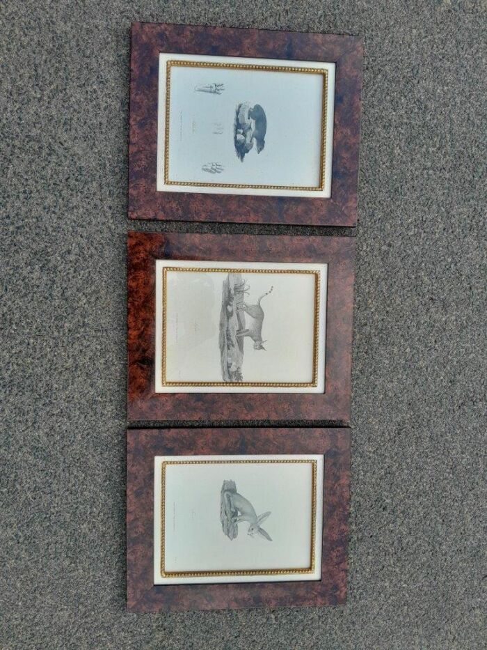 A 19th  Century  English Set of Three Decorative Engravings  Signed and Dated - Image 2