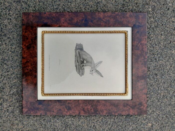 A 19th  Century  English Set of Three Decorative Engravings  Signed and Dated - Image 3