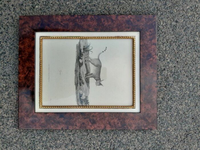 A 19th  Century  English Set of Three Decorative Engravings  Signed and Dated - Image 4
