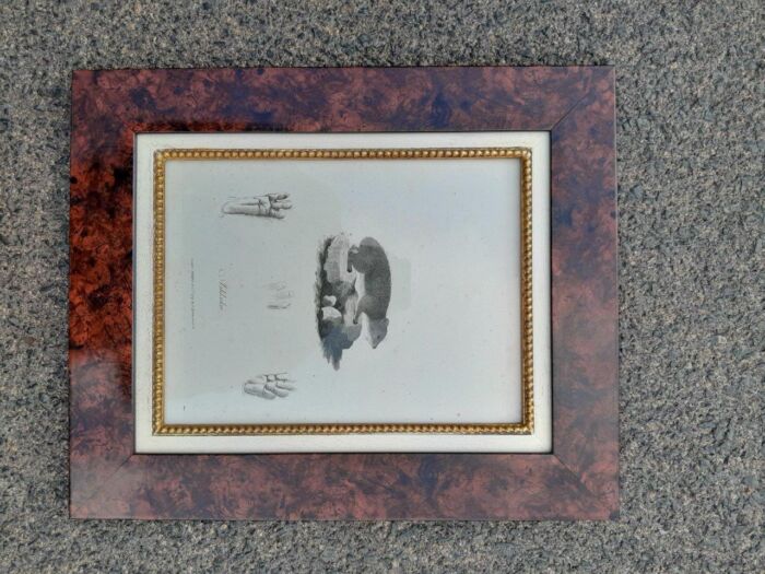 A 19th  Century  English Set of Three Decorative Engravings  Signed and Dated - Image 5