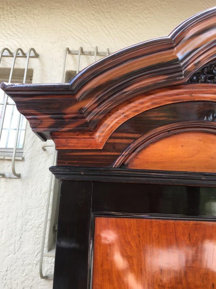 19th Century Colonial Ebonised Coromandel Beefwood Cabinet - Image 10