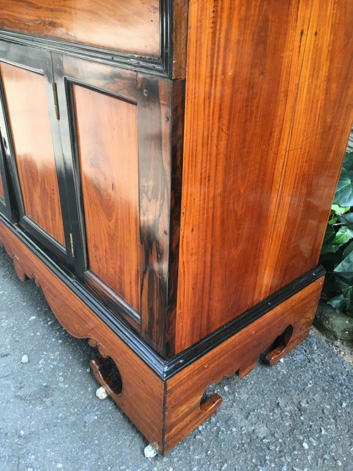19th Century Colonial Ebonised Coromandel Beefwood Cabinet - Image 12