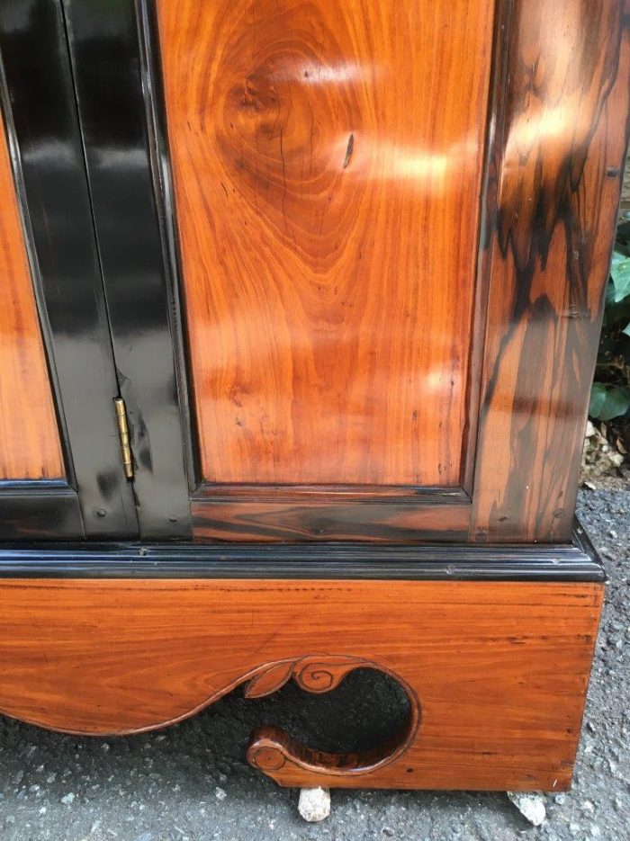 19th Century Colonial Ebonised Coromandel Beefwood Cabinet - Image 13
