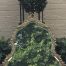 Vintage Gilt Framed Bevelled Mirror