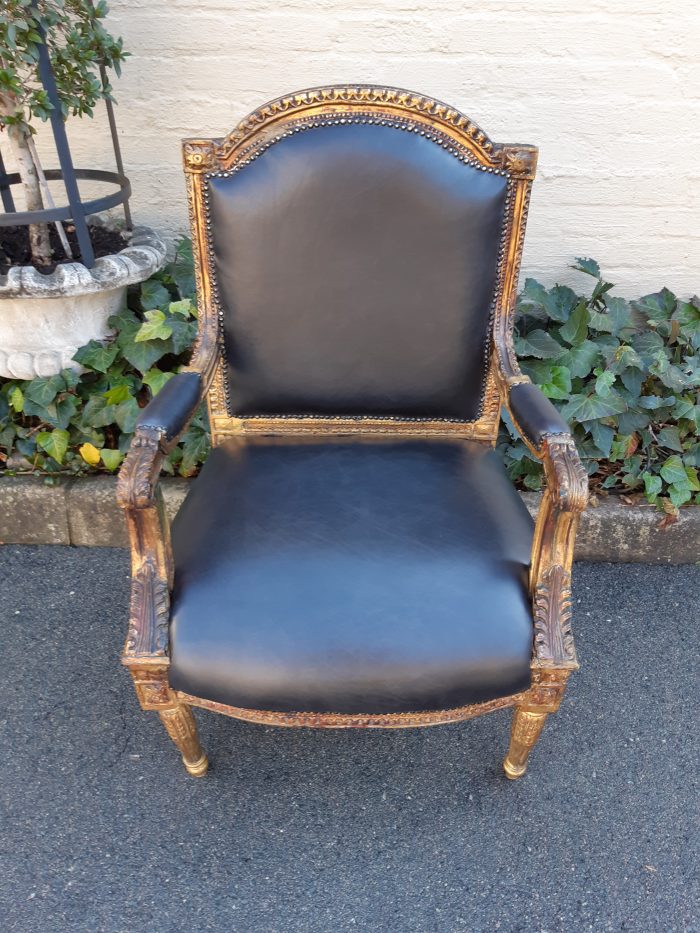 Gilded Armchair in Leather (Single) ND - Image 3