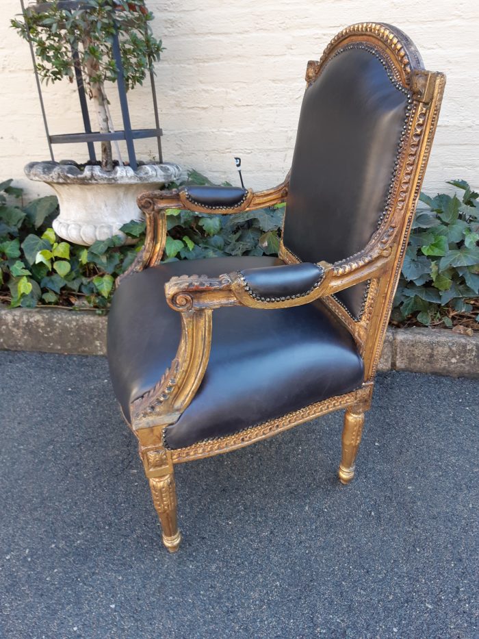 Gilded Armchair in Leather (Single) ND - Image 5