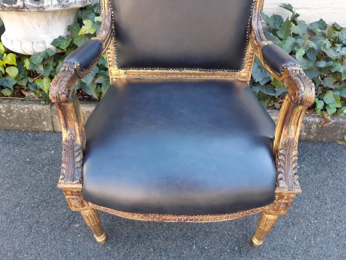 Gilded Armchair in Leather (Single) ND - Image 6