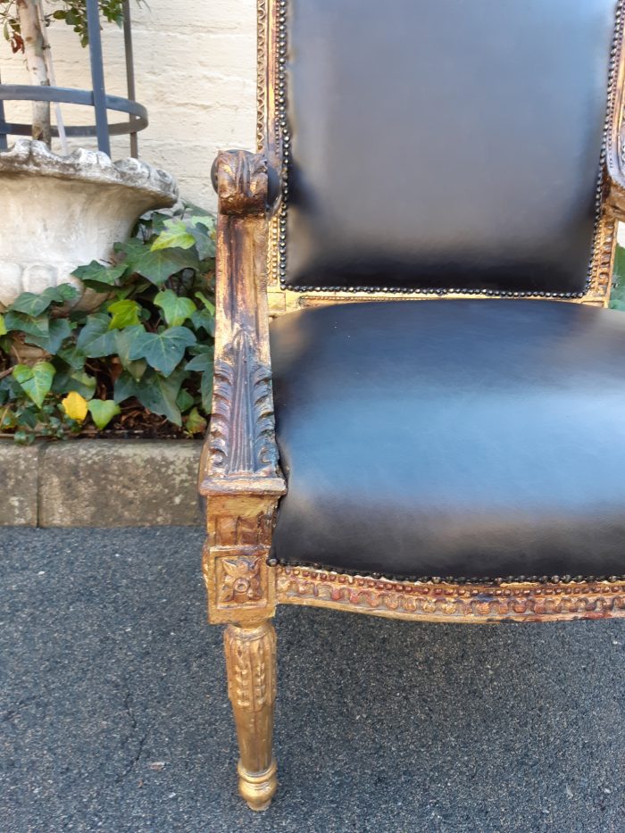 Gilded Armchair in Leather (Single) ND - Image 9