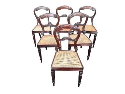 A Set Of Six William IV Mahogany Side Chairs