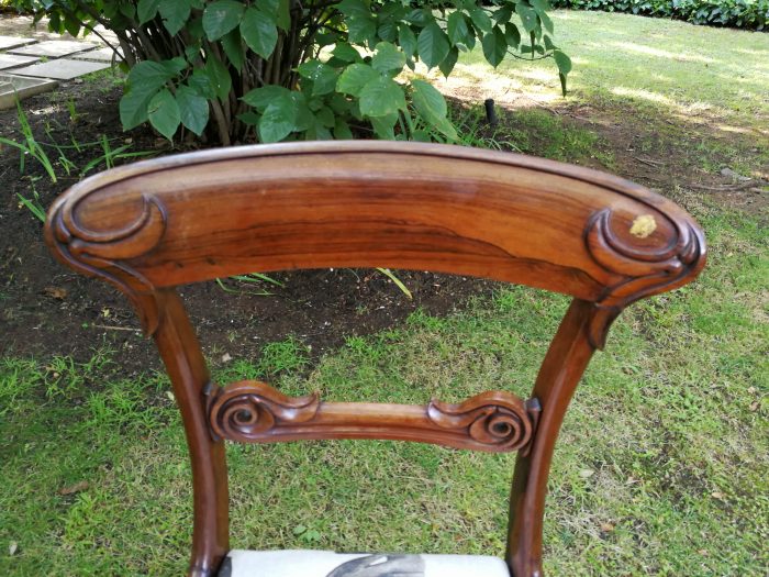 A Set Of Four (4) Rare William Iv Rosewood Dining Chairs (British Antique Dealer Association Stamp) - Image 7