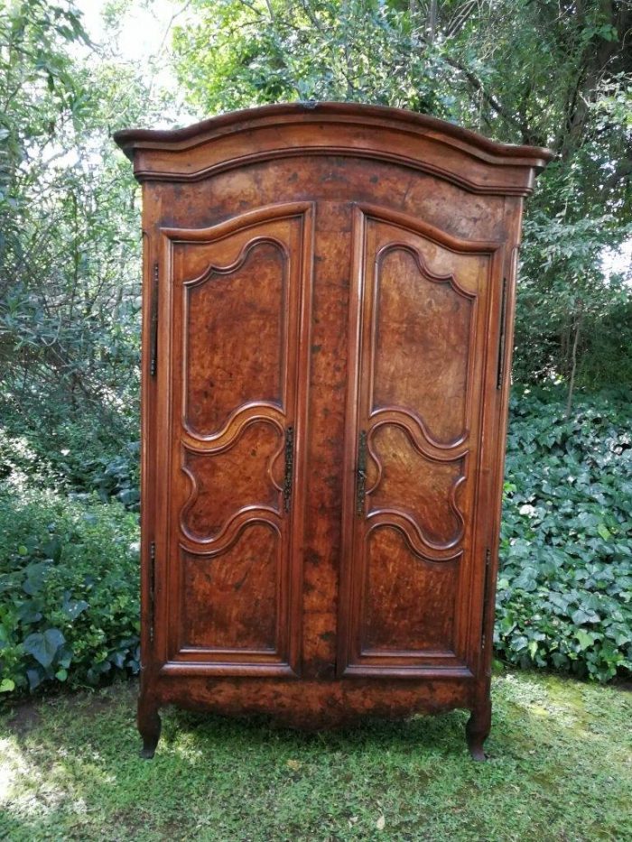 A French Burr Ash (Loupe De Frêne) Armoire - Image 2