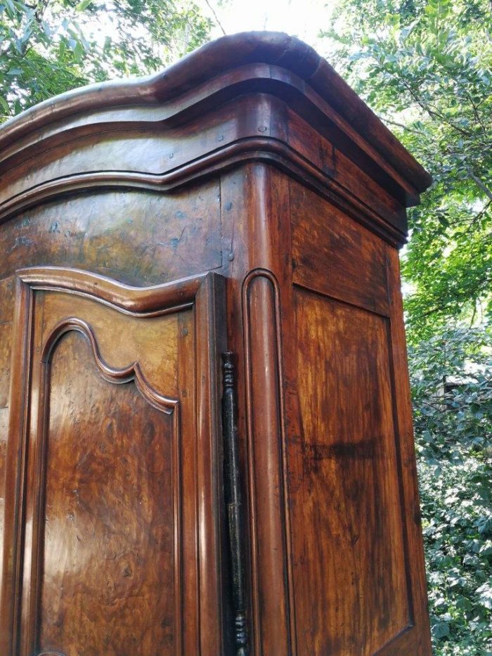 A French Burr Ash (Loupe De Frêne) Armoire - Image 9