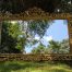 Ornately Carved Oval Gilded Mirror