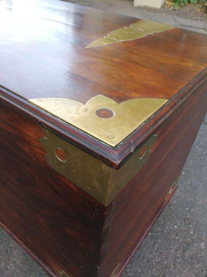 Cape Stinkwood chest, 20th century ND - Image 5