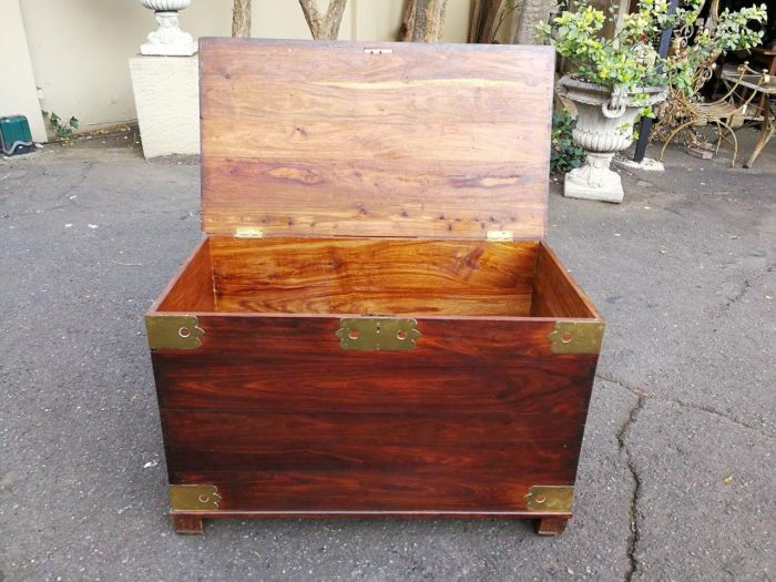 Cape Stinkwood chest, 20th century ND - Image 6