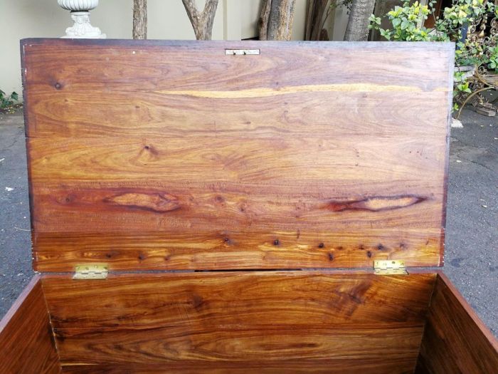 Cape Stinkwood chest, 20th century ND - Image 7