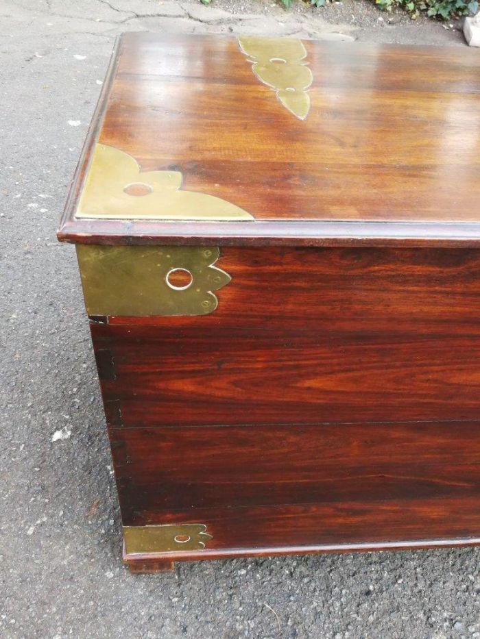 Cape Stinkwood chest, 20th century ND - Image 8