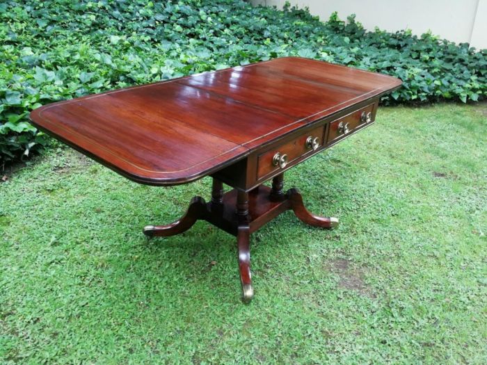 A Regency Mahogany Sofa Table On Brass Castors With Brass - Image 4