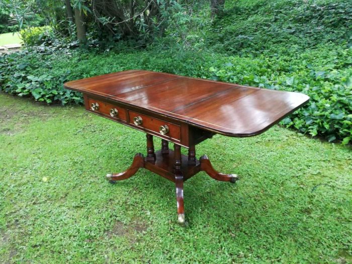 A Regency Mahogany Sofa Table On Brass Castors With Brass - Image 5