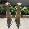 A Pair of 20th Century Architectural Concrete Greyhound Statues - Image 8