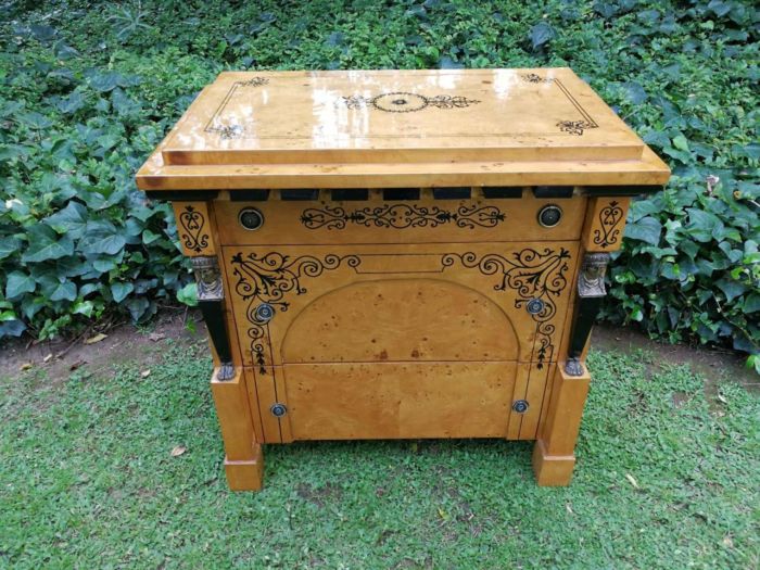 A 20th French-style Kingwood Cabinet - Image 3