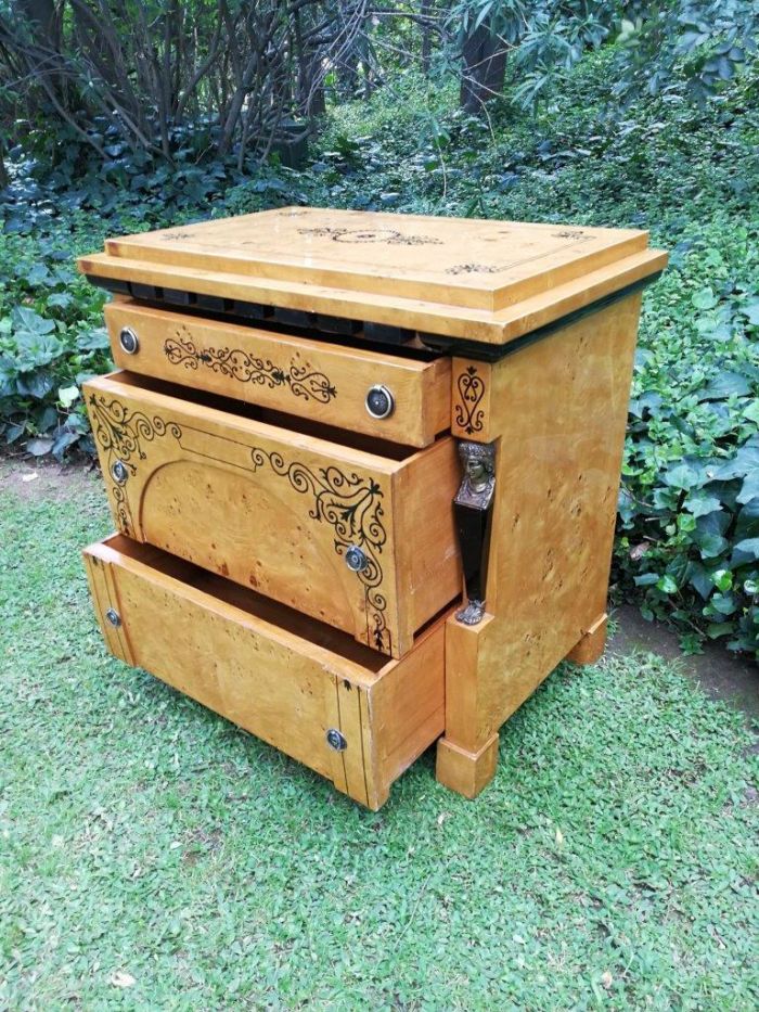 A 20th French-style Kingwood Cabinet - Image 9