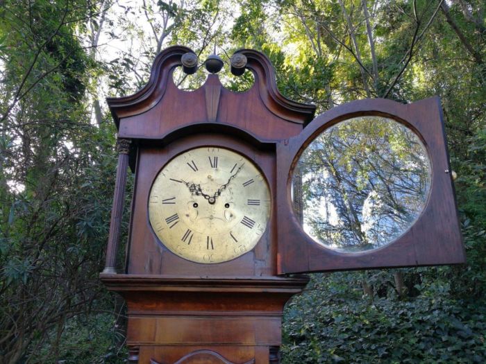 An Early 19th Century Mahogany and Oak Tall  Longcase / Grandfather Clock with Brass Dial Signed Smith Sheffield - Image 9