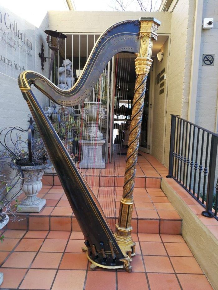 A 19th Century (Circa 1893) Erard Concert Gothic Harp No. 6487.  It Is Playable And Fully Strung And Still Able To Produce A Lovely Rich Sound