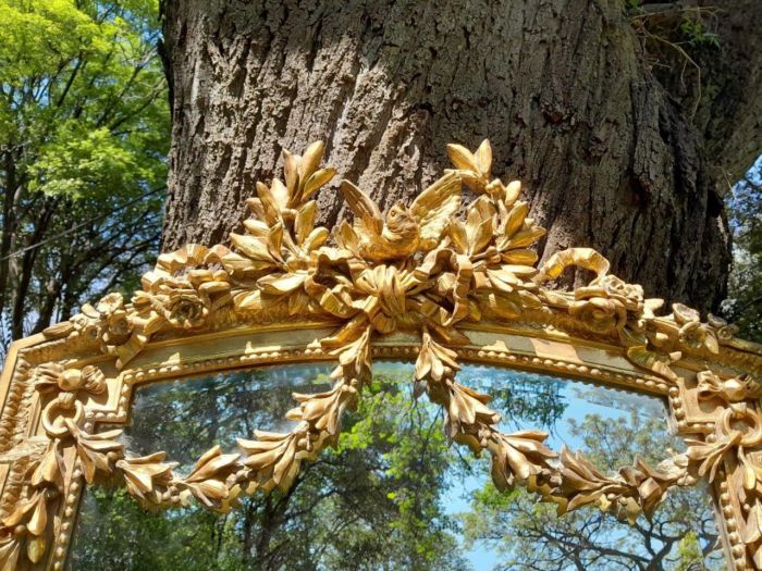 A French Rococo Style Ornately Carved and Gilded Bevelled Mirror - Image 5