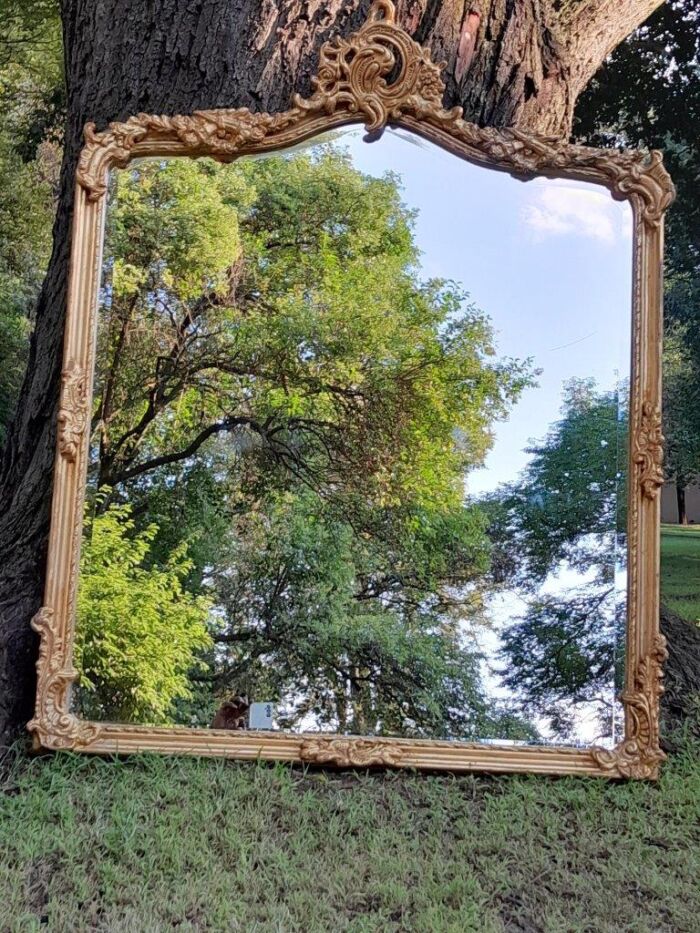 A French Rococo Style Ornately Carved and Gilded Bevelled Mirror 6 - Image 3