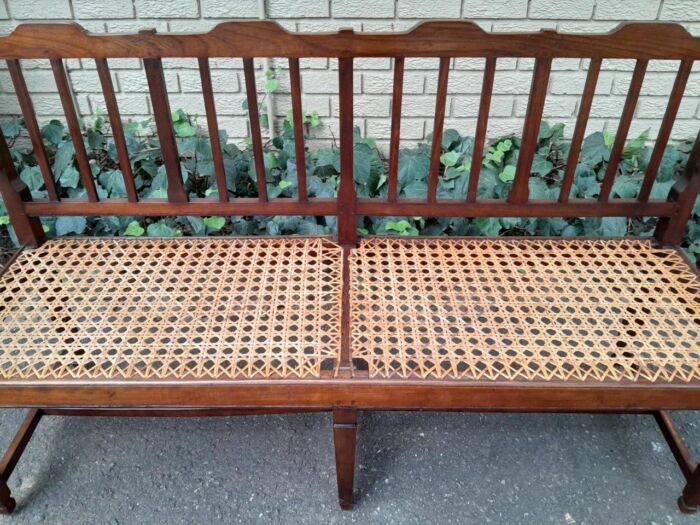 A 19th Century Cape Stinkwood Neo Classical Bench with Rattan Seat - Image 5