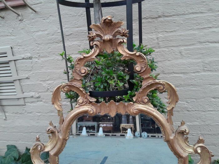 A 19th Century Rococo Style Ornately Carved Gilt Wood Mirror - Image 8