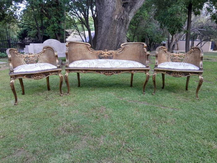 A 20TH Century French Louis XVI Style Giltwood Rattan Settee and Two Matching Bergere Chairs Upholstered in a Custom-made Fabric for The Crown Collection - Image 2