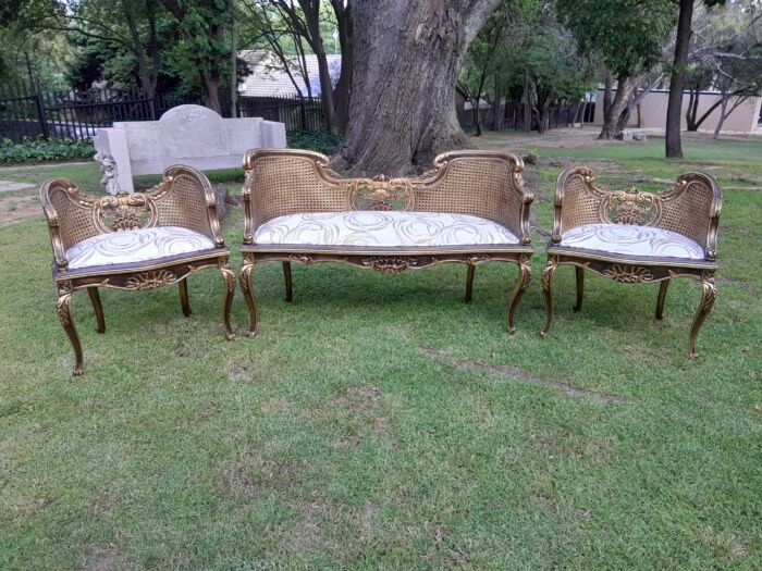 A 20TH Century French Louis XVI Style Giltwood Rattan Settee and Two Matching Bergere Chairs Upholstered in a Custom-made Fabric for The Crown Collection - Image 3