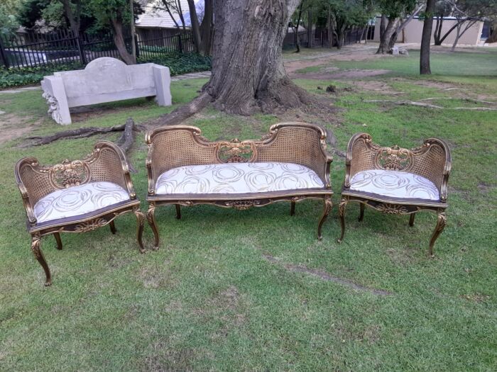 A 20TH Century French Louis XVI Style Giltwood Rattan Settee and Two Matching Bergere Chairs Upholstered in a Custom-made Fabric for The Crown Collection - Image 4
