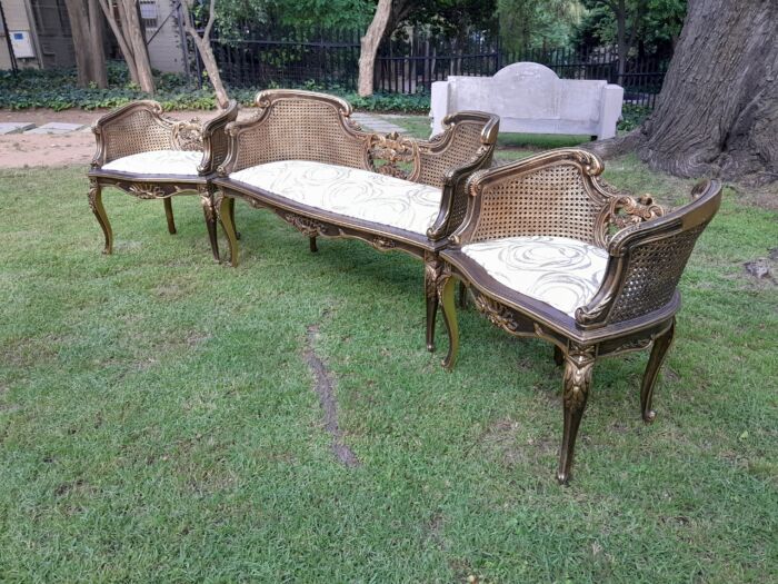 A 20TH Century French Louis XVI Style Giltwood Rattan Settee and Two Matching Bergere Chairs Upholstered in a Custom-made Fabric for The Crown Collection - Image 5