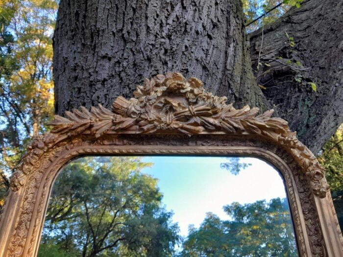 A French Rococo Style Ornately Carved & Gilded Bevelled Mirror - Image 14