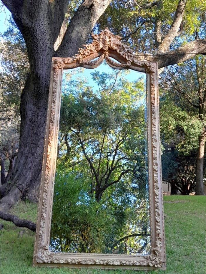 A French Rococo Style Ornately Carved & Gilded Bevelled Mirror - Image 9