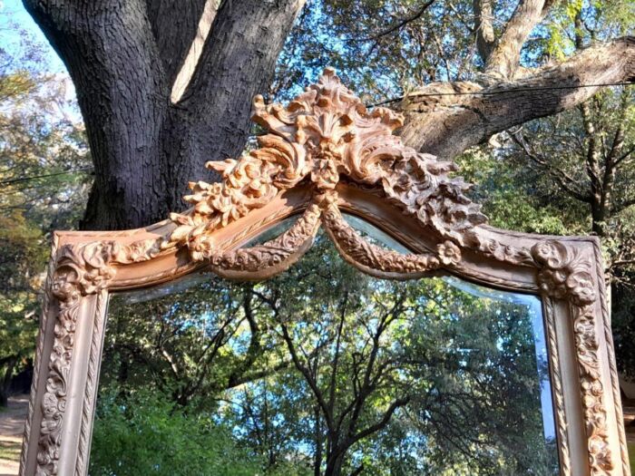A French Rococo Style Ornately Carved & Gilded Bevelled Mirror - Image 13