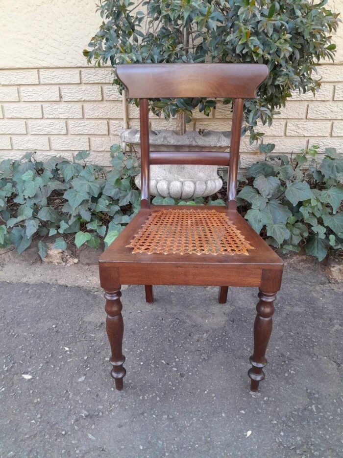 An Antique Set Of Six Cape Stinkwood Regency Chairs With Rattan Seats - Image 6