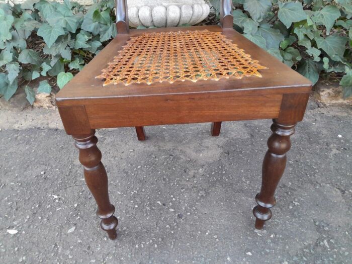An Antique Set Of Six Cape Stinkwood Regency Chairs With Rattan Seats - Image 8