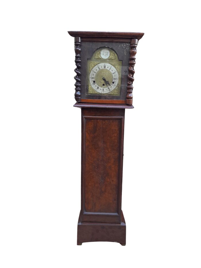 A 19th Century Burr-Walnut Tempus Fugit Clock with Pendulum and Key 